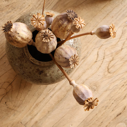 Ginger jar 01