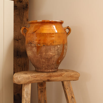Yellow confit pot - Bloom