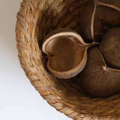 French basket - Betsy
