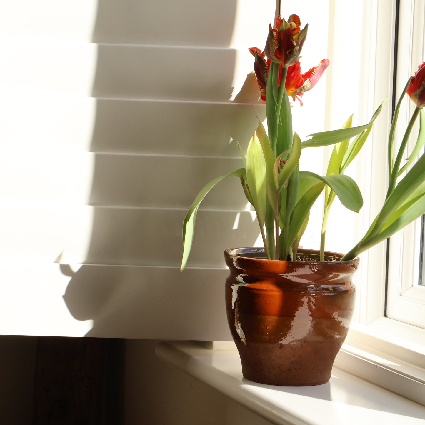 French pot - Virel