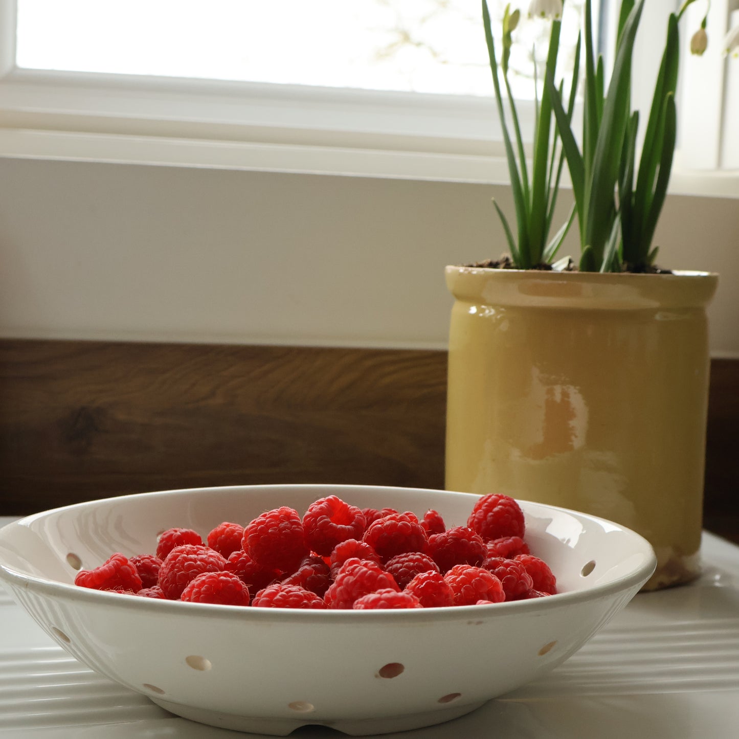Digoin berry bowl
