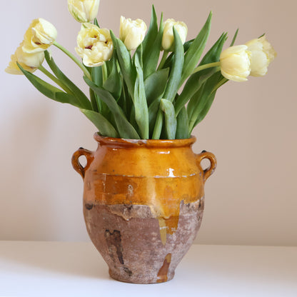 Yellow confit pot - Bloom