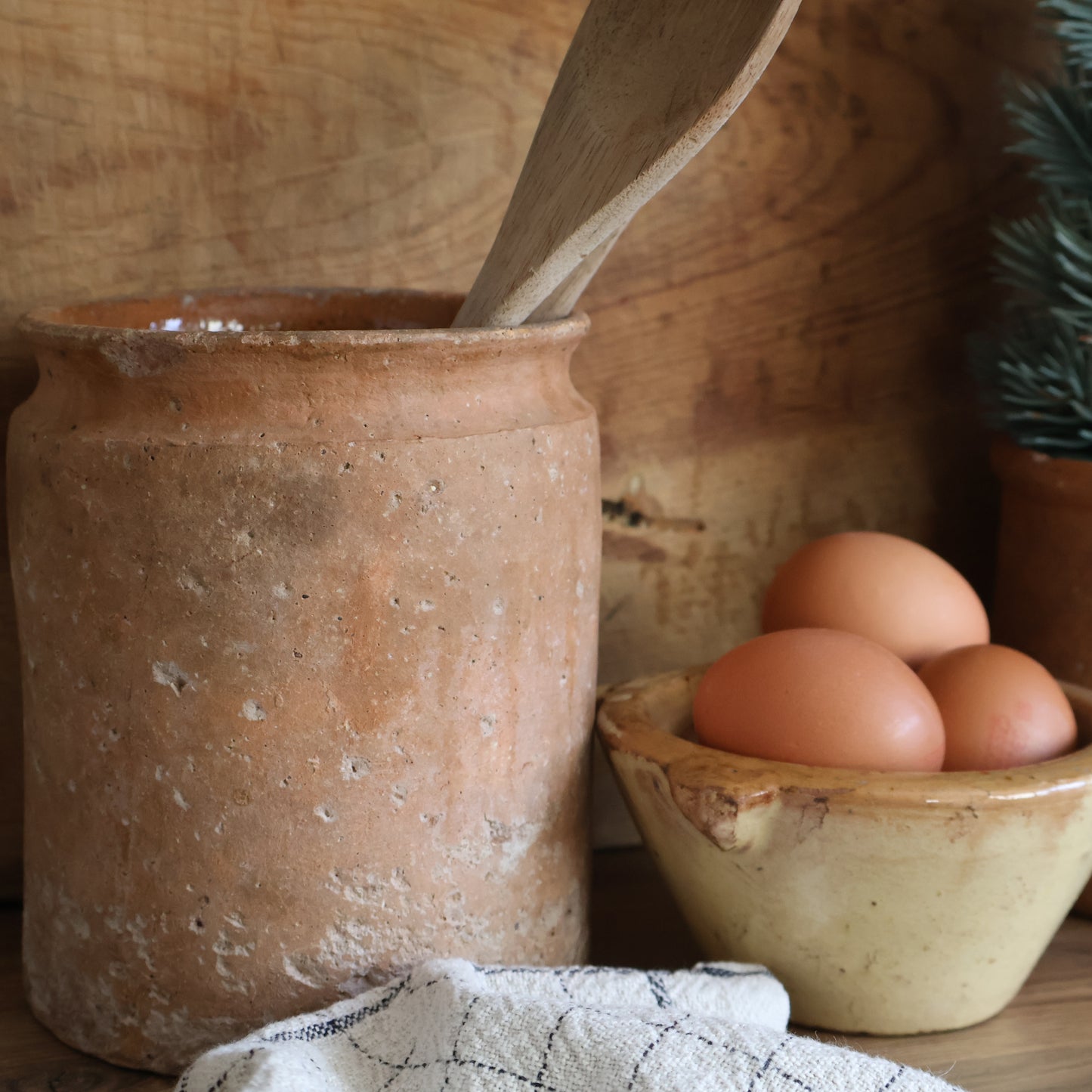 Large terracotta pot