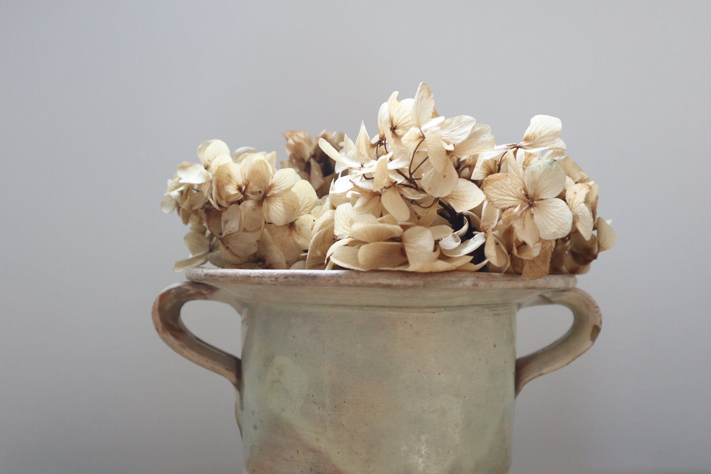 Italian confit pot