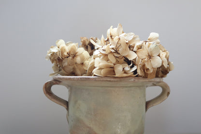 Italian confit pot