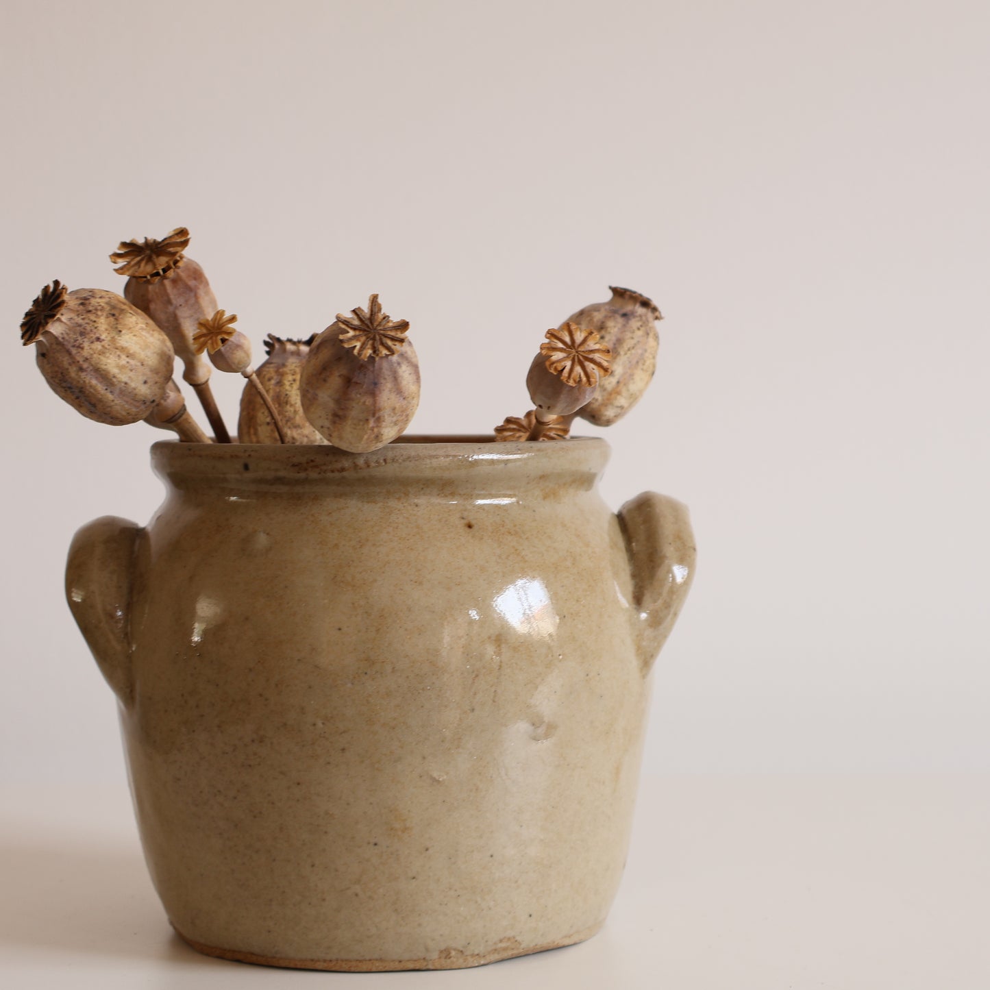 Mini confit pot - Thali