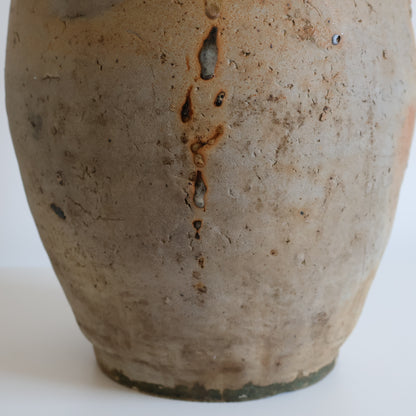 French Jug - Joules
