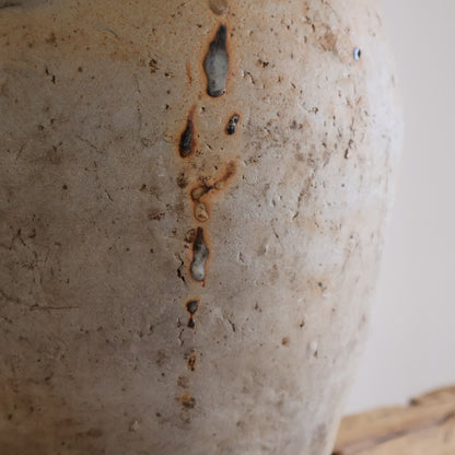 French Jug - Joules