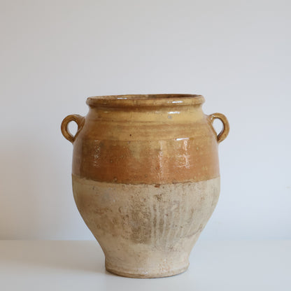 Yellow confit pot - Elin