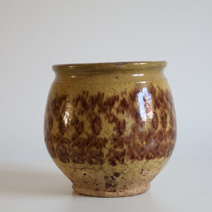 Confit pot - Mave