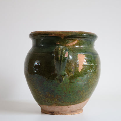 Green confit pot - Maybelle