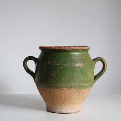Green confit pot - Fern
