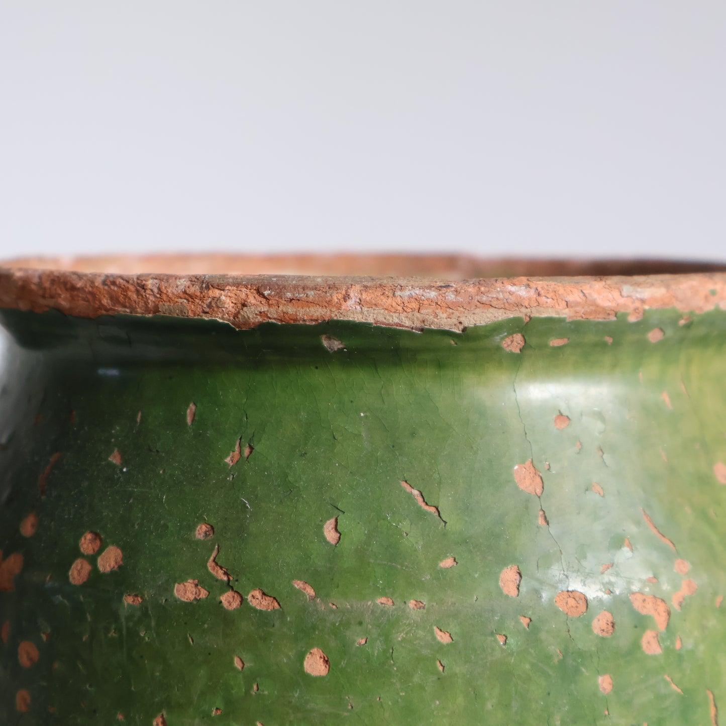 Green confit pot - Fern