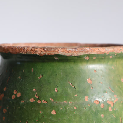 Green confit pot - Fern