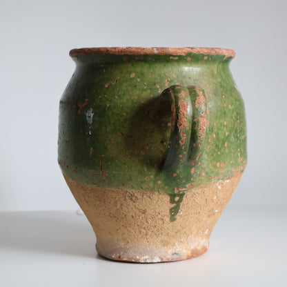 Green confit pot - Fern
