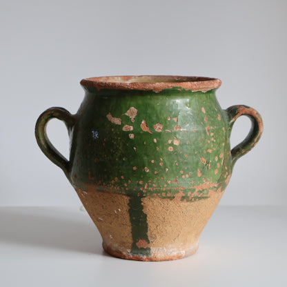 Green confit pot - Fern