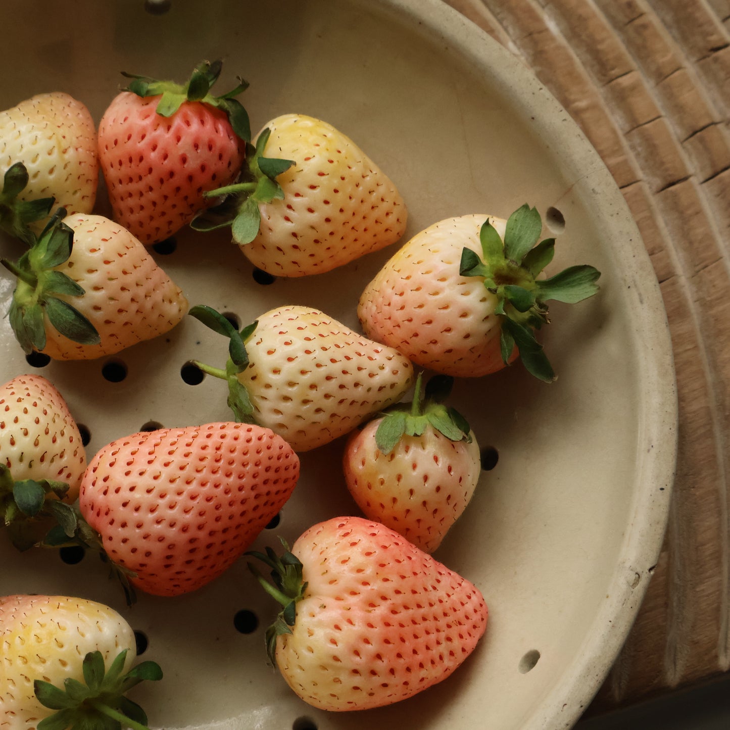 Berry bowl - Bowen