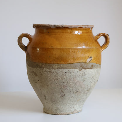 Yellow confit pot - Elsie